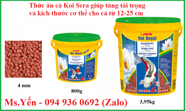 Thức ăn cá Koi Sera Royal giúp tăng trọng và kích thước cơ thể cho cá từ 12-25 cm